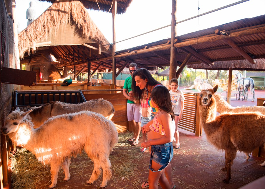 174292157067e2df62a69f4552028603